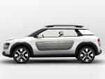 Citroen Cactus Concept 2013 года